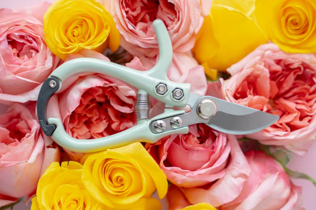 Floral arrangement with pink and yellow roses and a pair of Blossom Pruners.