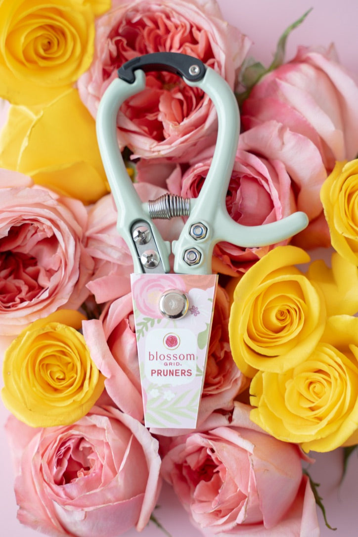 Blossom Pruners