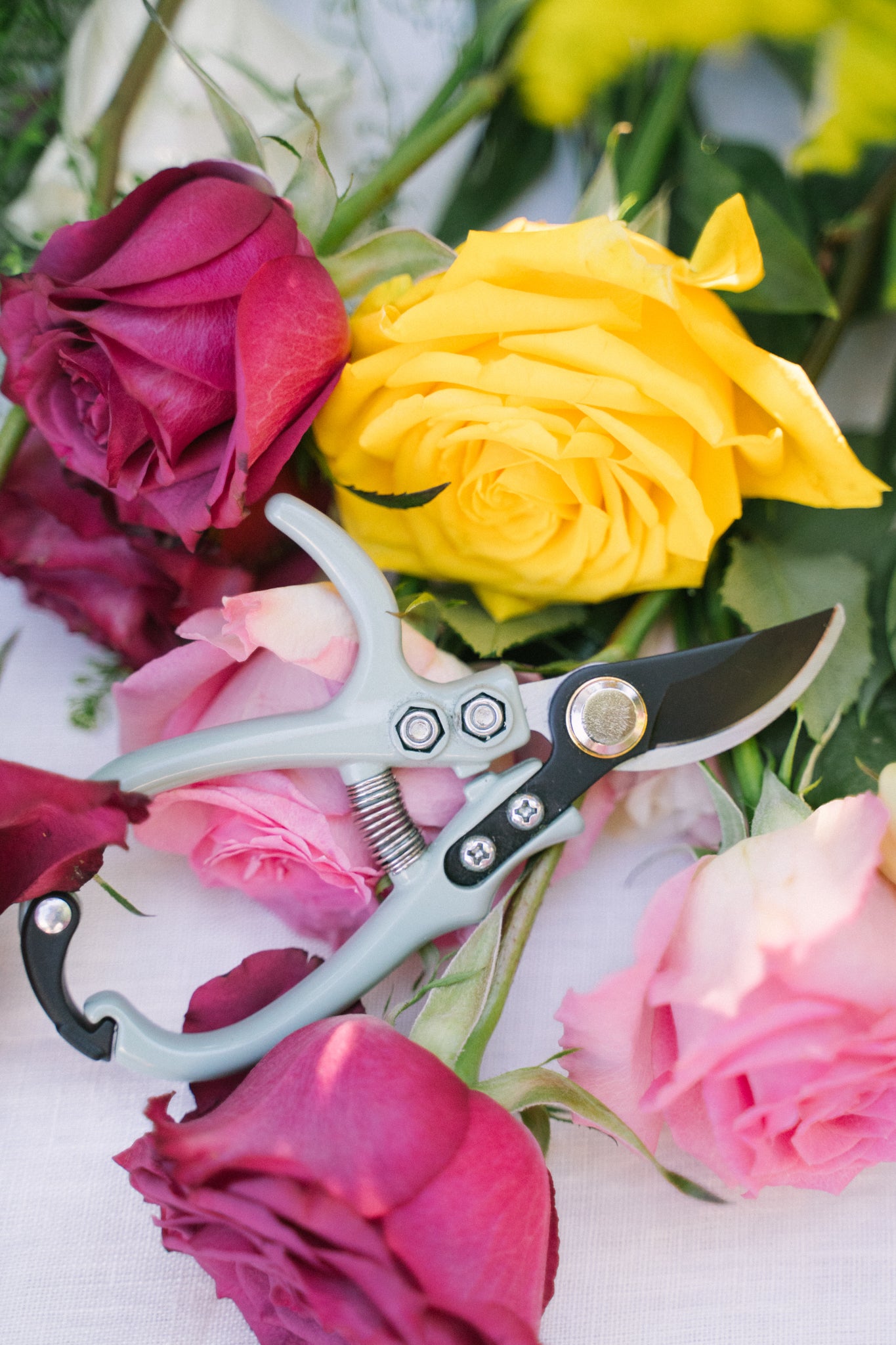 Blossom Pruners accessory on pink and yellow roses.