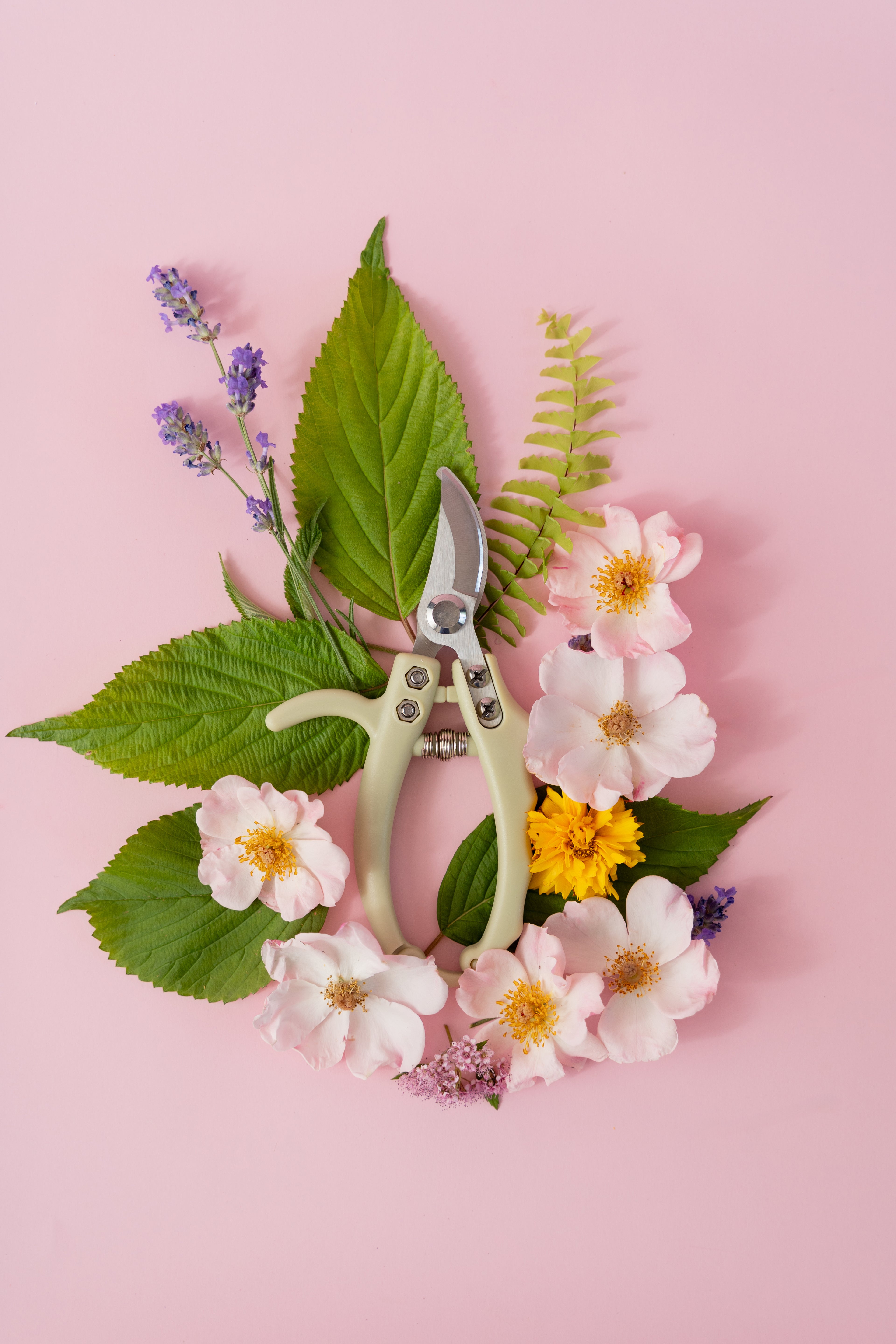 Blossom Pruners