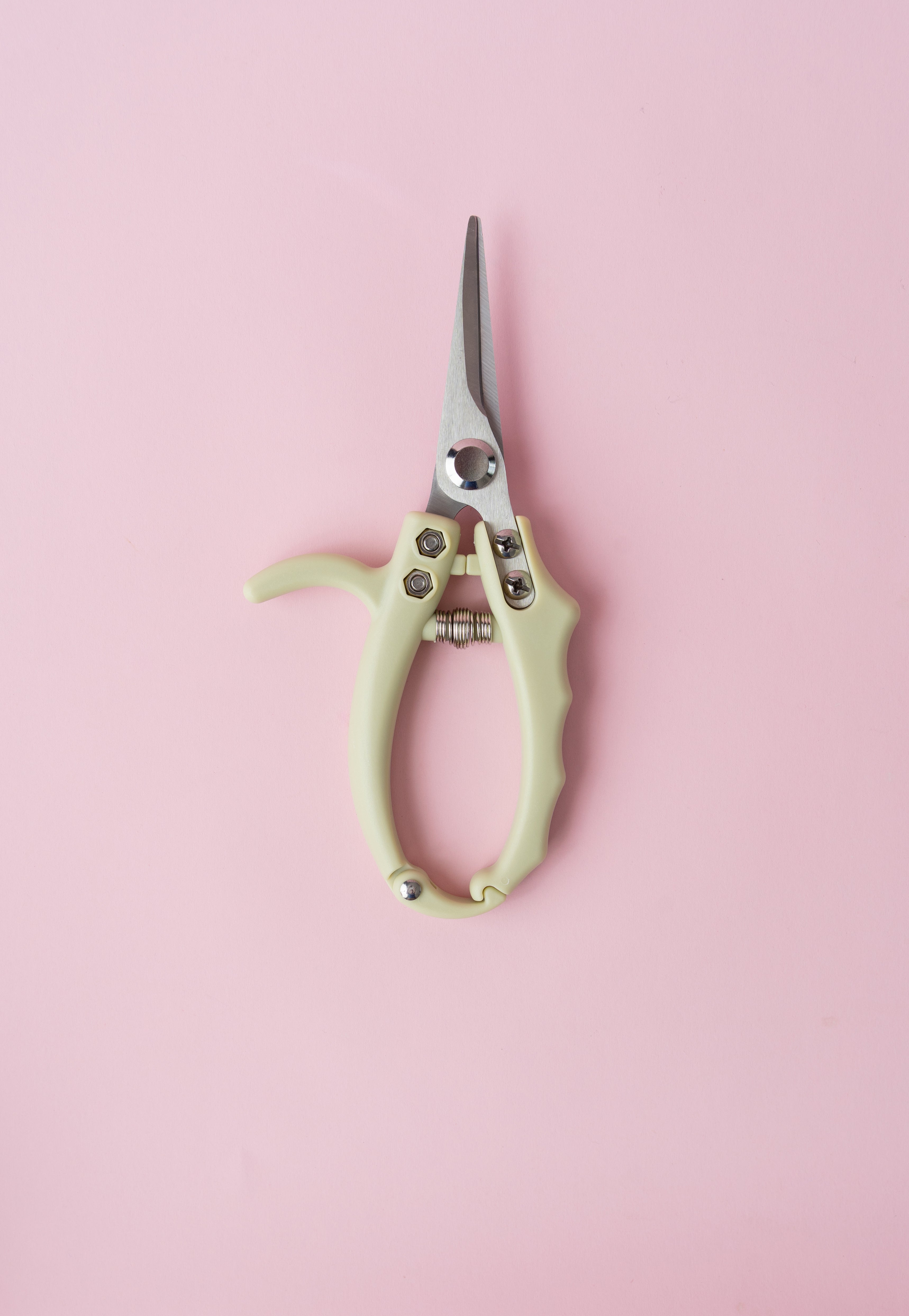 Blossom Pruning Scissors