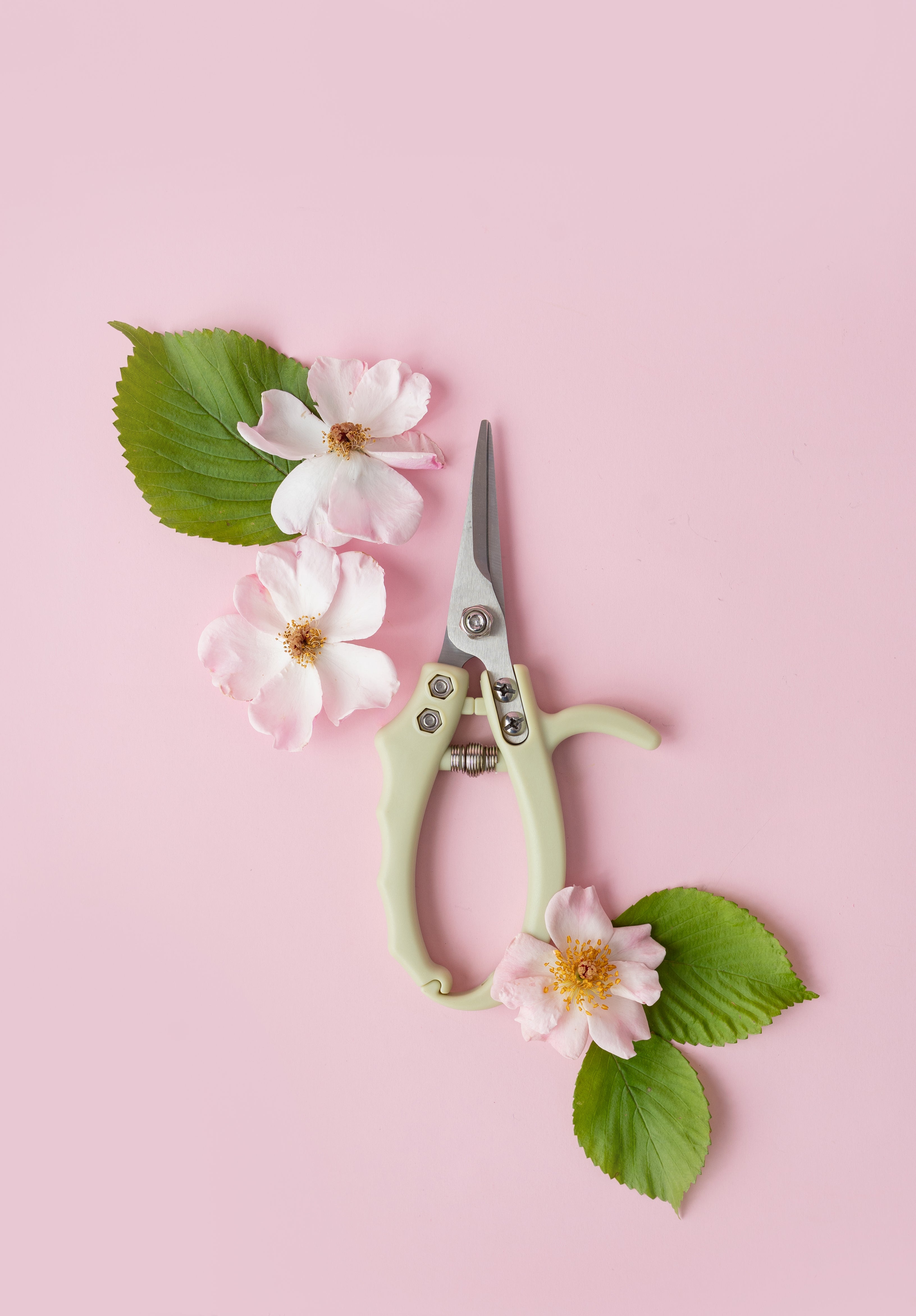 Blossom Pruning Scissors